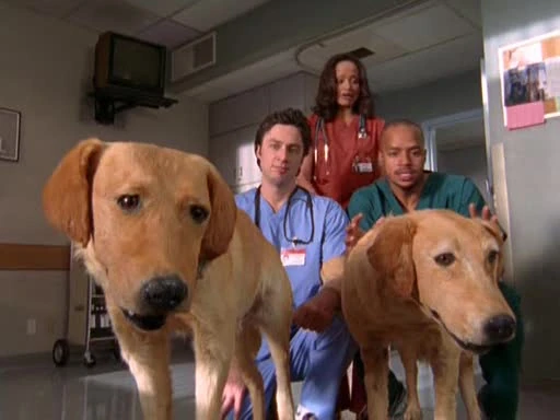 Клиника сезон 6 | 13 серия